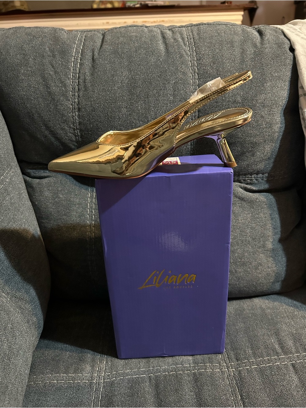 Liliana Metallic Gold Slingback Pointed Kitten Heel